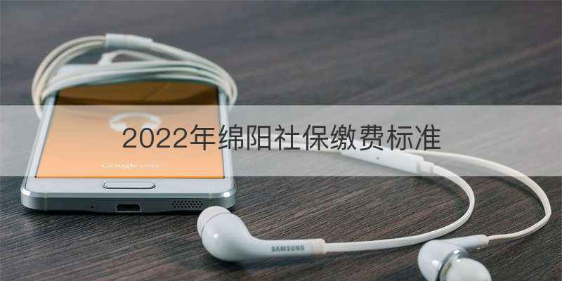 2022年绵阳社保缴费标准